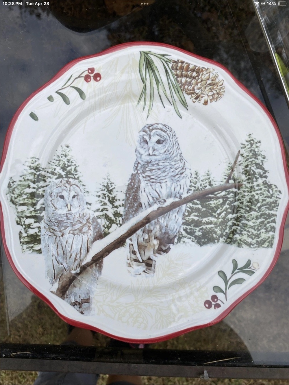 Two Snowy Owls Winter Decorative Dinner Plate - White and Red